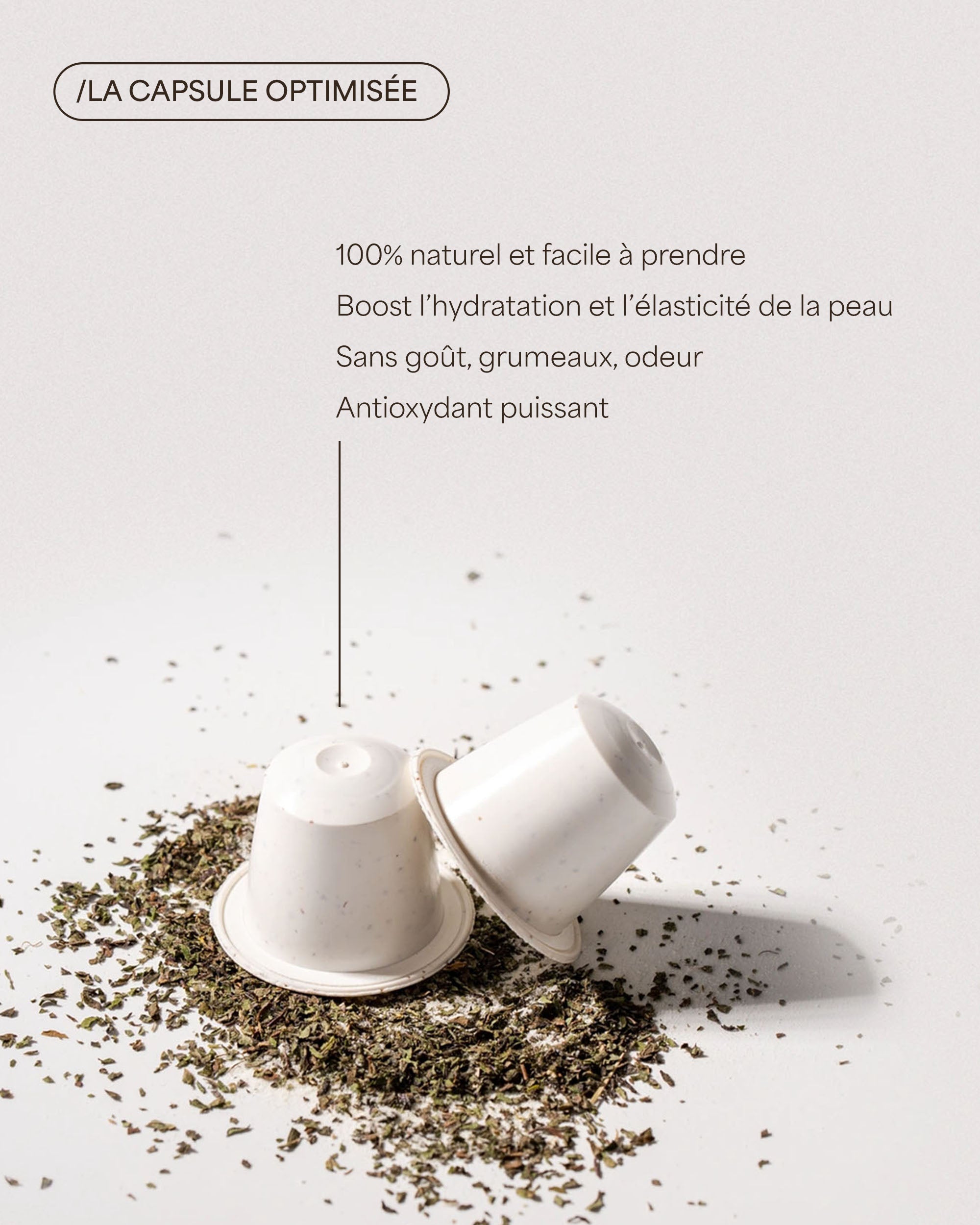 Collagen Tea — Nespresso-style capsules with Marine Collagen and Green Tea