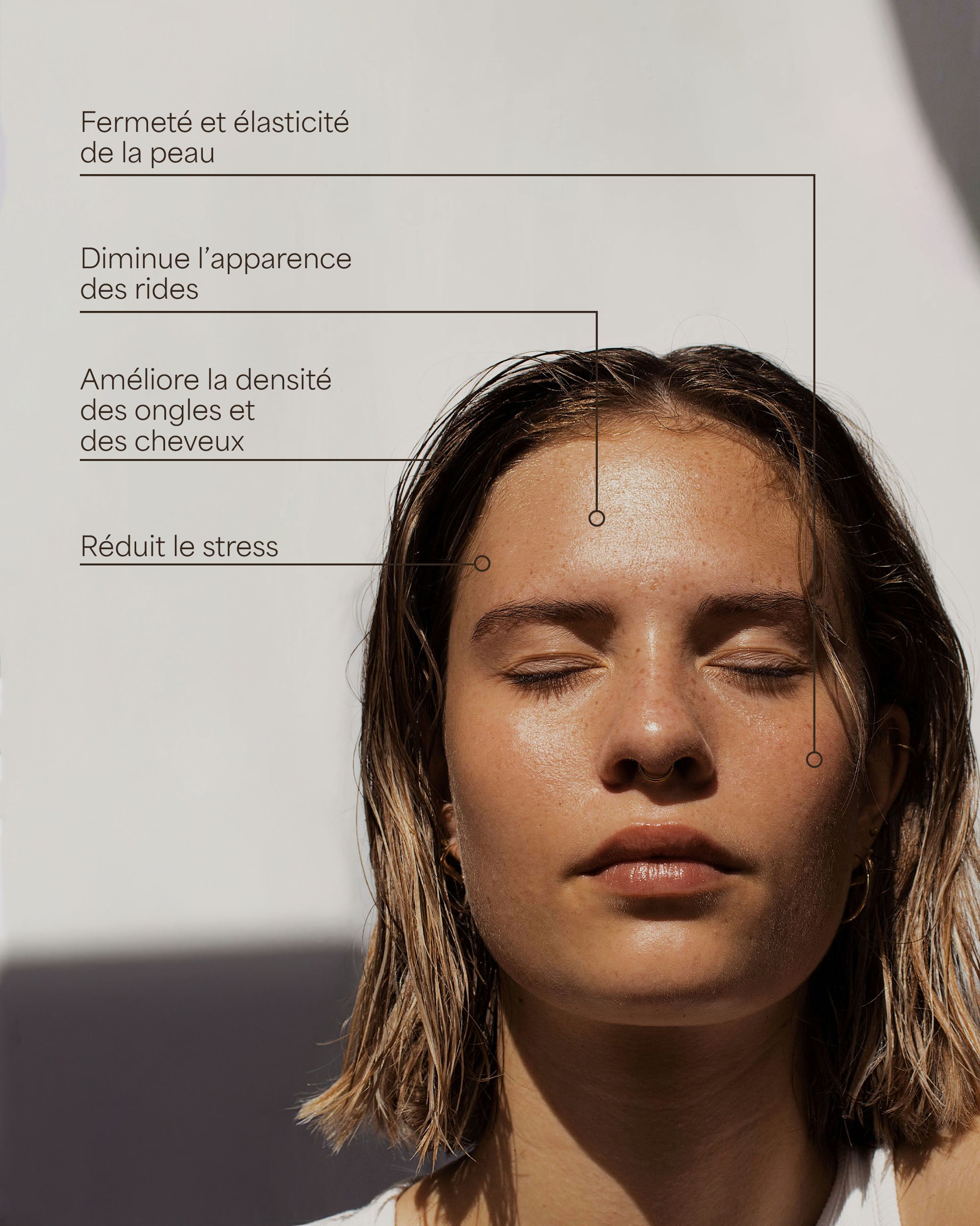 Peptides de collagène marin - 2 000 Daltons type I & III - Sans goût ni grumeaux